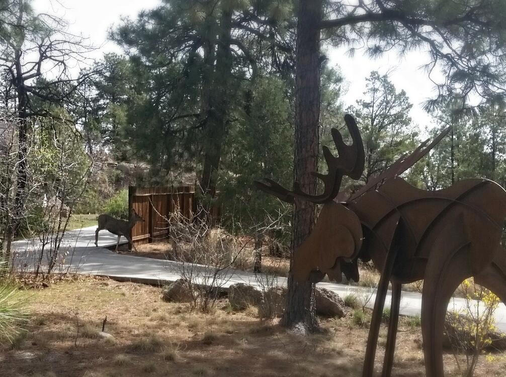 Pueblo Canyon Inn Лос-Аламос Экстерьер фото